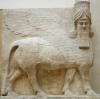 Gevleugelde stier met mensenhoofd: muurrelif van het paleis van Sargon II;human headed bull face