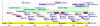 Timeline of Ottoman Empire (Click on to enlarge)