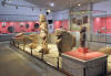 Archaeological Museum Şanlıurfa, Southeast Turkey, Stelae and sculptures from Göbekli Tepe