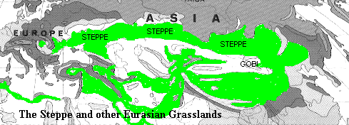 the steppe and other eurasian grasslands
